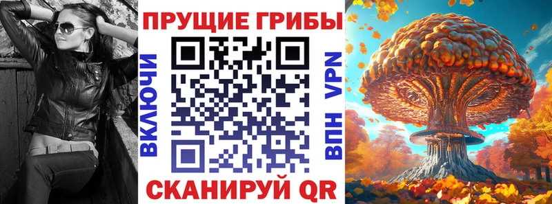 купить наркоту  Североморск  Псилоцибиновые грибы MAGIC MUSHROOMS 